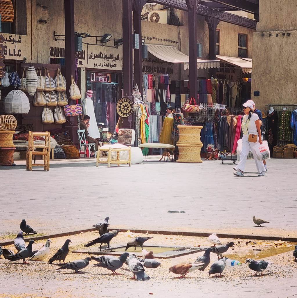 img 20220520 131030 563