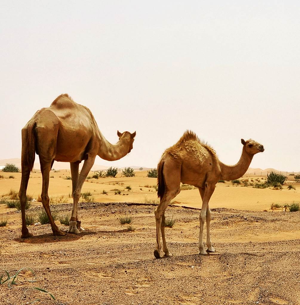 img 20220819 132156 959