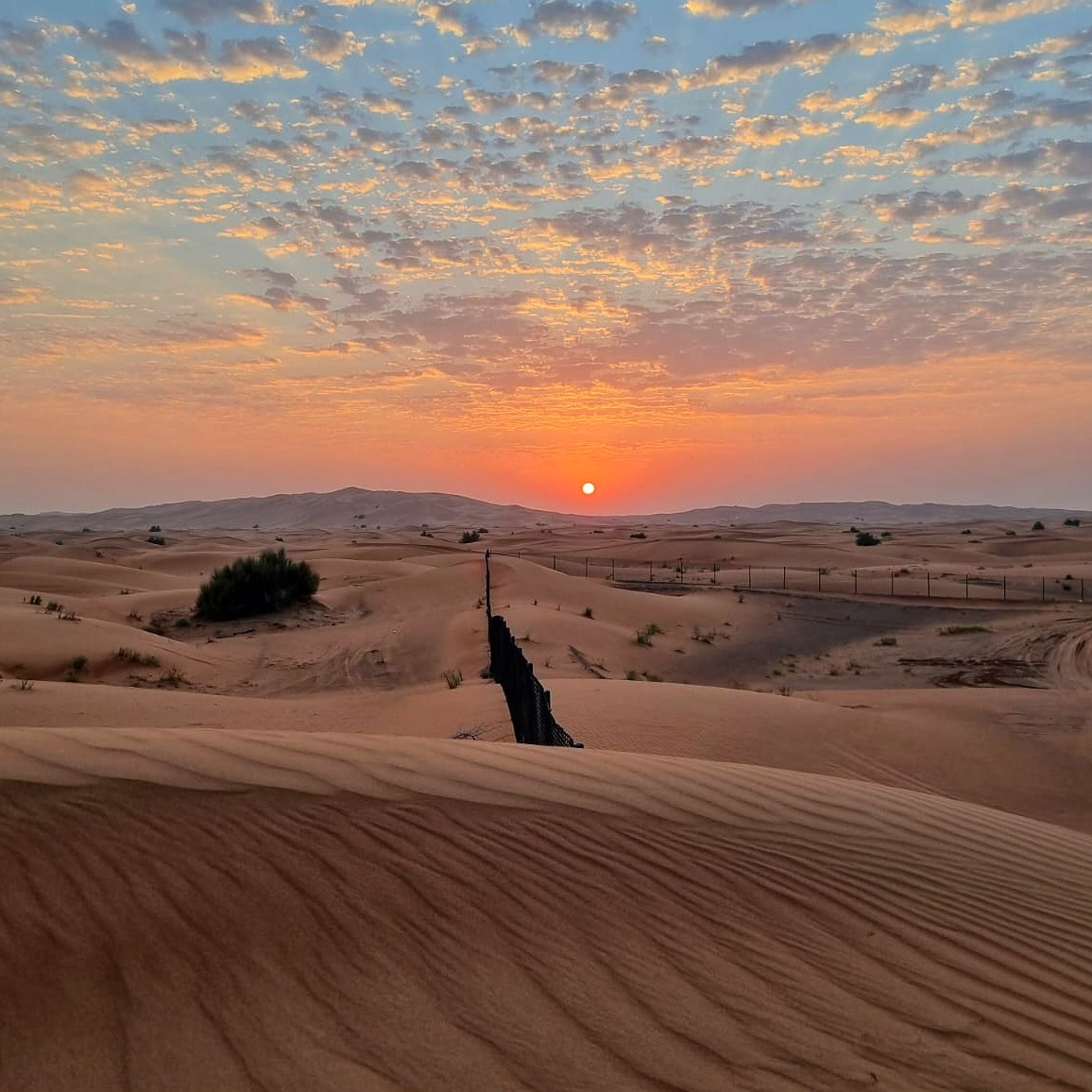 img 20220925 081834 916