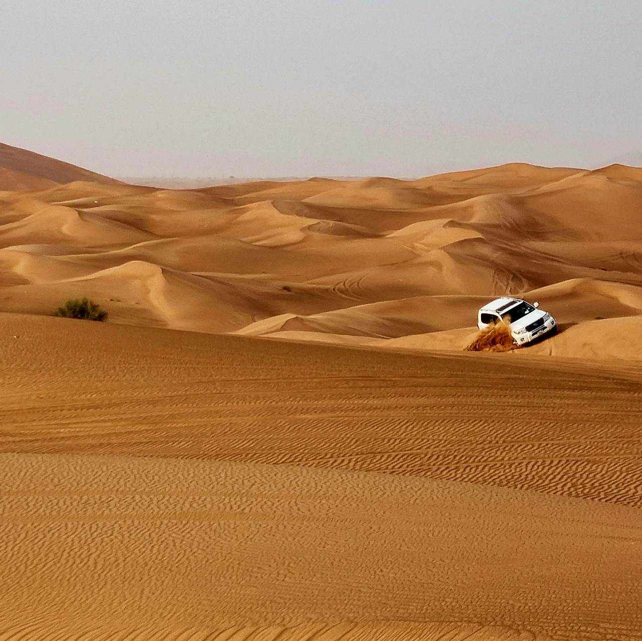 img 20220923 083022 873